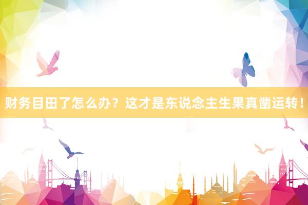 财务目田了怎么办？这才是东说念主生果真凿运转！