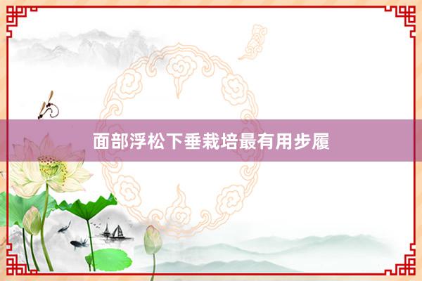 面部浮松下垂栽培最有用步履